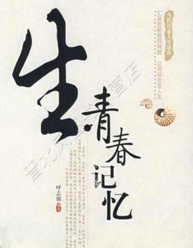 我的青春图标