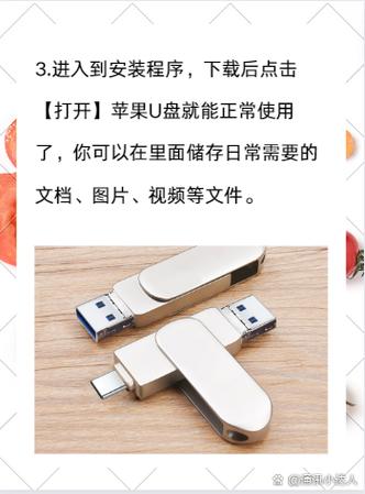 苹果手机u盘在哪里打开图标