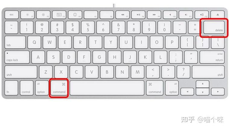 mac打字只能字母的解决方法