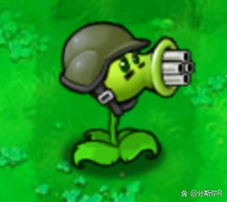 植物大战僵尸1机枪射手