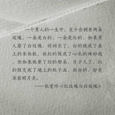 红玫瑰和白玫瑰的故事缩略图