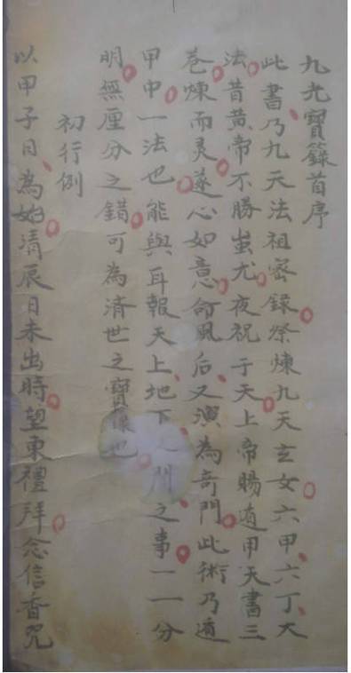 暮色森林中的符咒作用