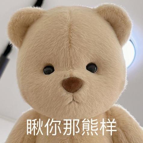 女人发熊表情包说明啥