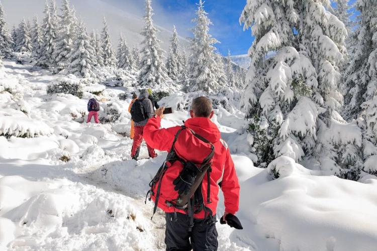 森林游戏雪山图标