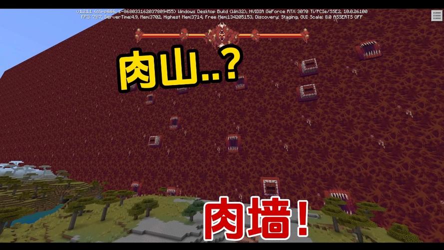 泰拉瑞亚肉山后会发生什么缩略图