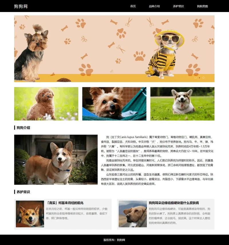 狗狗书籍网站游戏截图