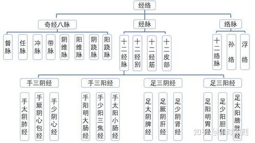 四圣心源中医宝典缩略图