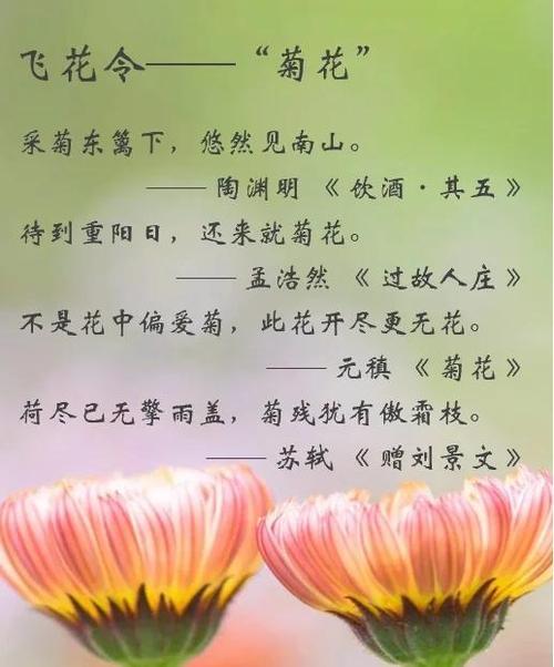 中国诗词大会飞花令题库图标