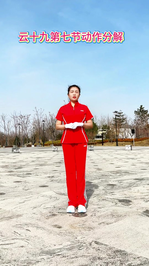 中国云朵王第五套第十一图标