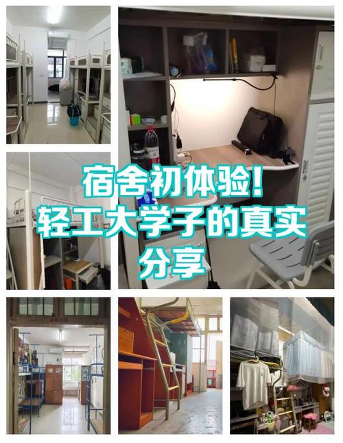 大学初体验1500字图标