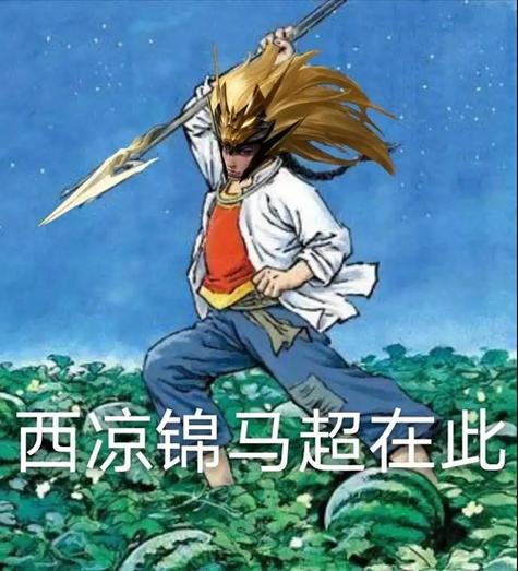 西凉锦马超台词