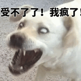 疯狗表情包gif缩略图