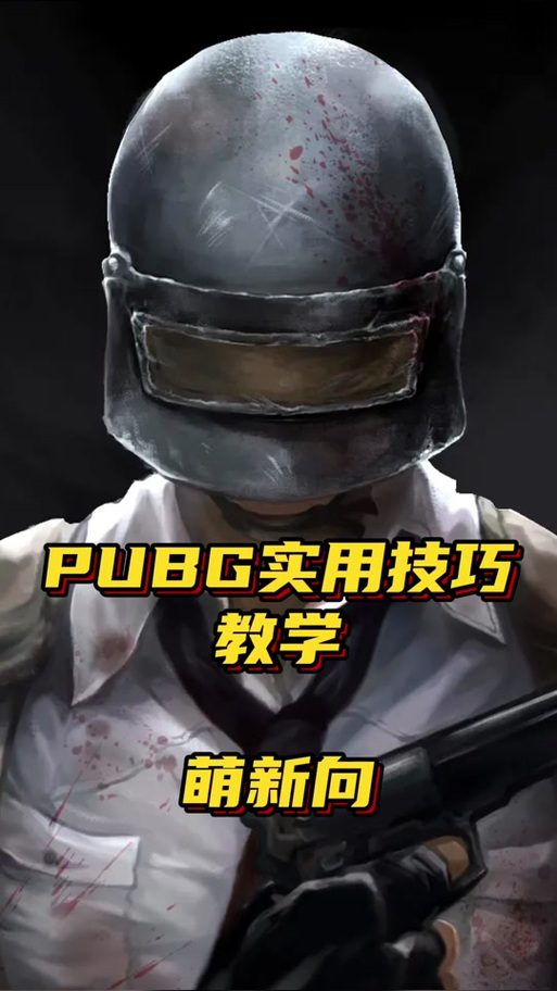 pubg独角鲸助手app缩略图