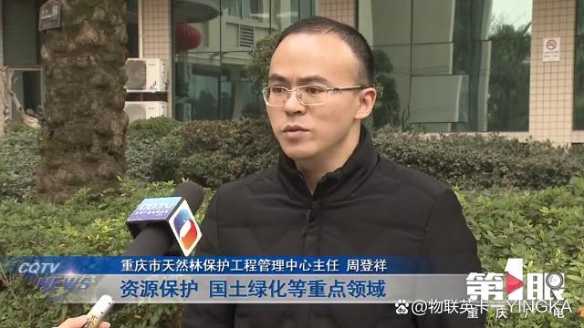 智慧林长