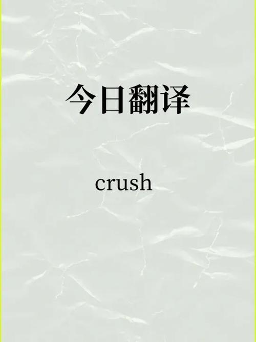 rule翻译