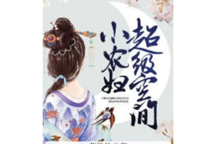 超级空间小农妇 小说缩略图