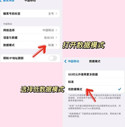 苹果ipad蜂窝数据选项不见了怎么办缩略图