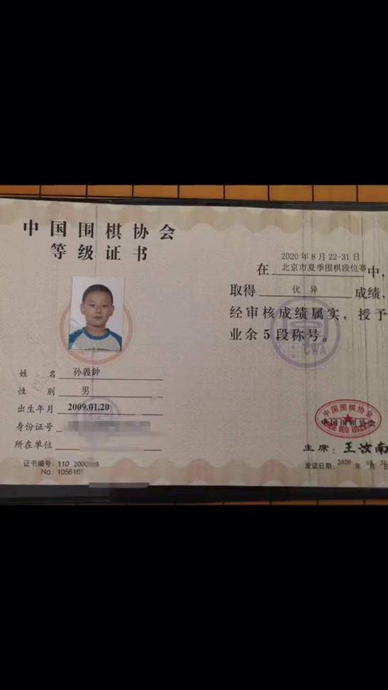 中国围棋协会等级证书查询游戏截图