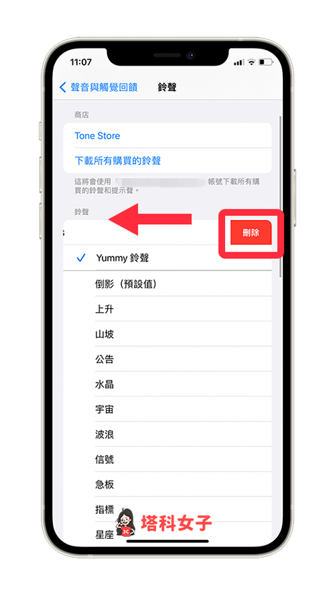 iphone视频突然有沙沙的声图标
