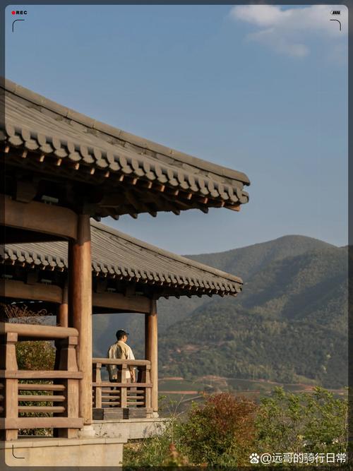 形容矜持又贵气的词语图标