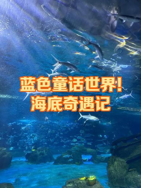 小时候一部经典的海底动画片