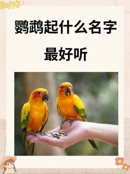 鹦鹉名字大全图标