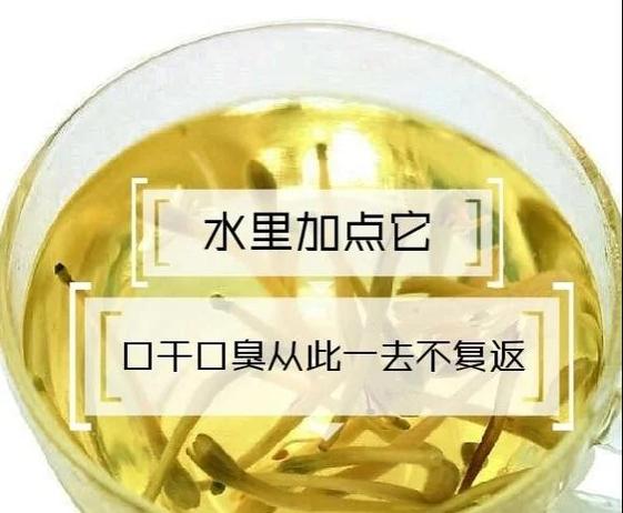 天天爱喝水有人赚到钱了吗缩略图