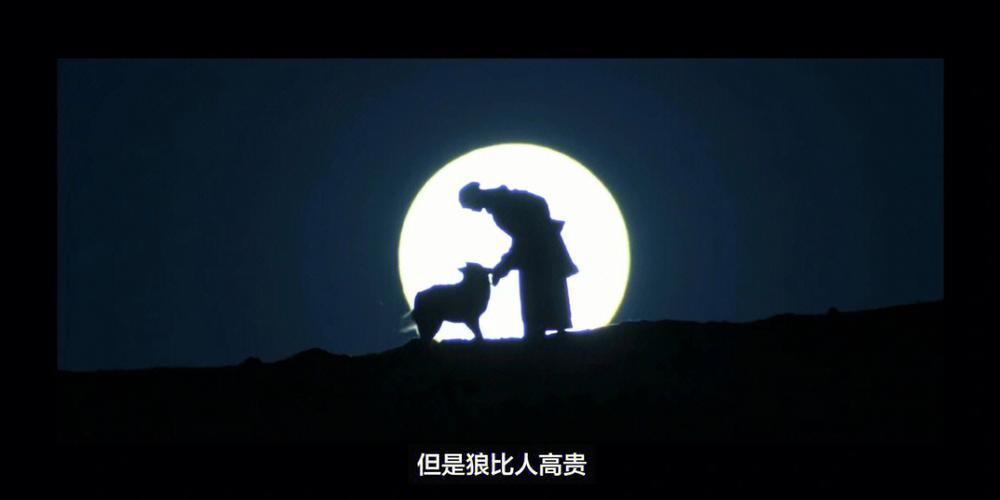 重返狼群电影缩略图