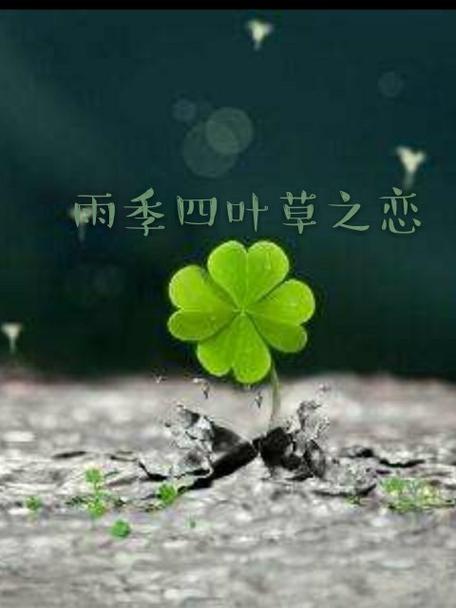 四叶草之恋游戏截图
