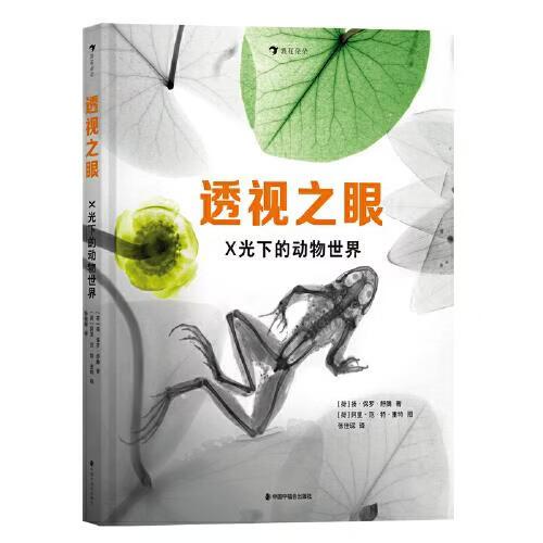 透视之眼缩略图