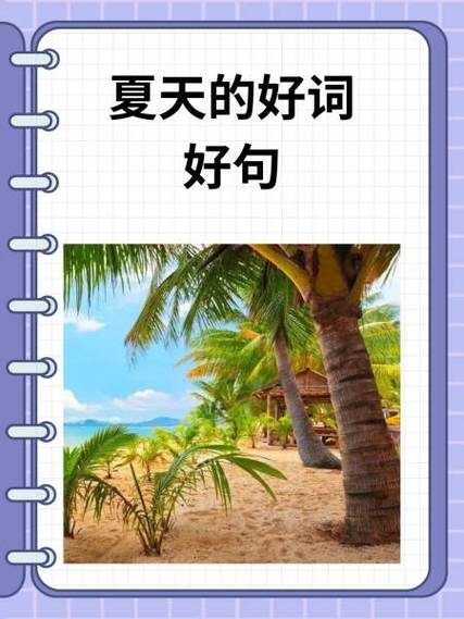 纷纷类似的词语