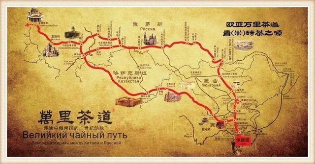 霸王茶姬万里茶路图标