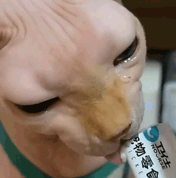 掉小珍珠是什么意思