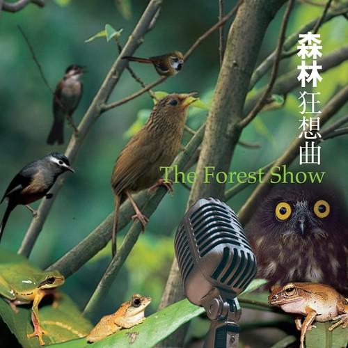 森林狂想曲下载mp3缩略图