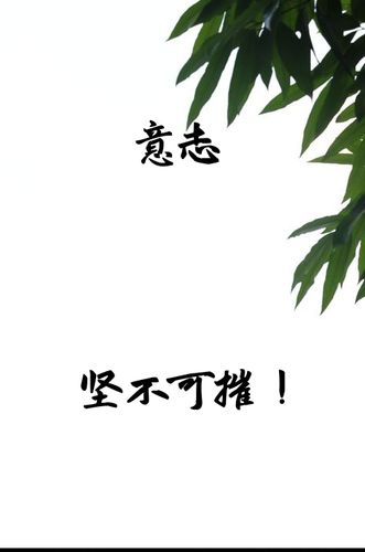 坚竖坚竖屏