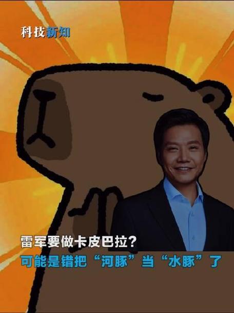 雷军搞笑经典语录缩略图