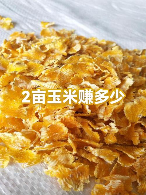 玉米网转发文章赚钱是真的吗图标