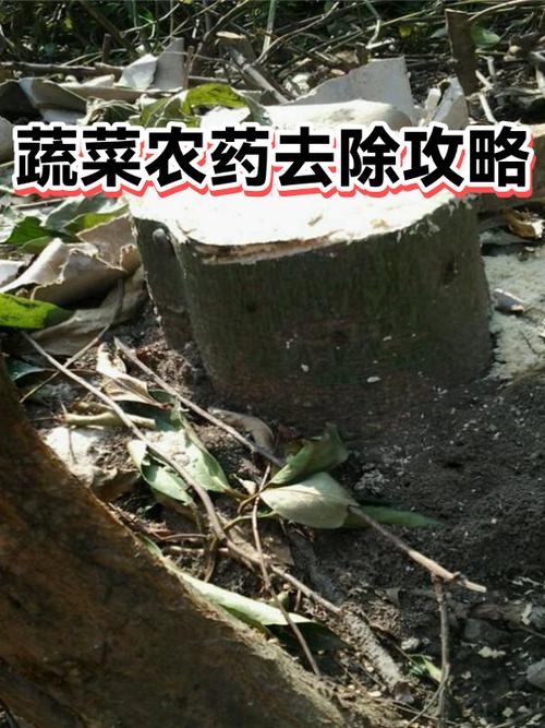 蔬菜去农药最好方法