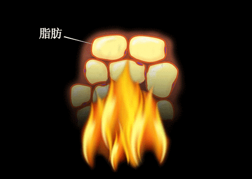脂肪多吃什么可以去掉脂肪图标