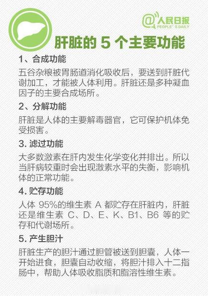 赤小豆伤肝还是护肝