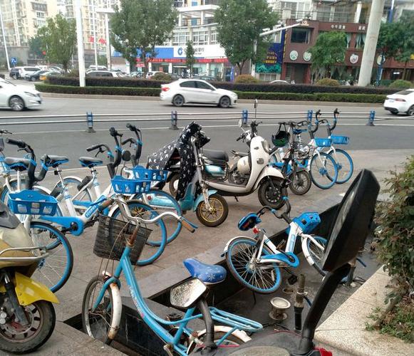 哈罗红包车活动结束了吗图标