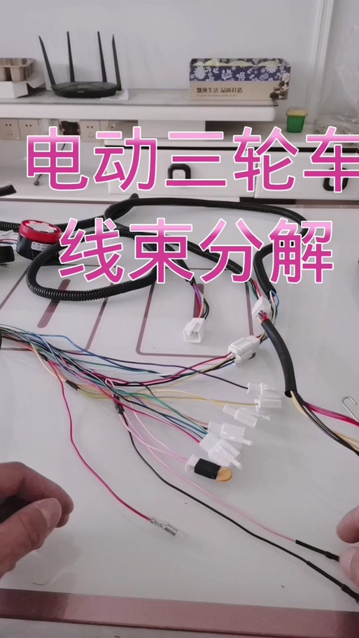 电动三轮车倒车线是哪两根图标