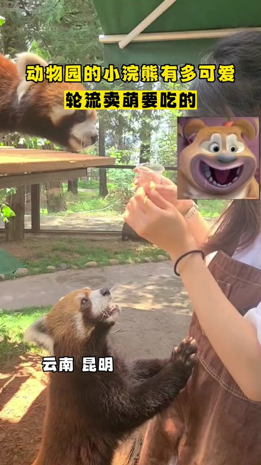 017小浣熊仿ios主题正式版缩略图