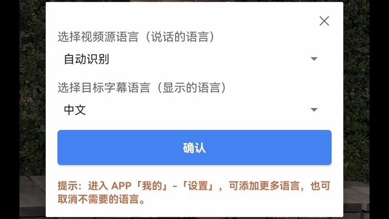 有什么软件可以自动翻译视频字幕
