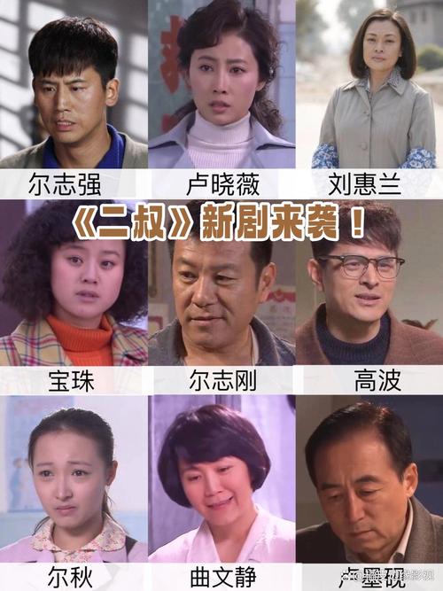 电视剧二叔29集