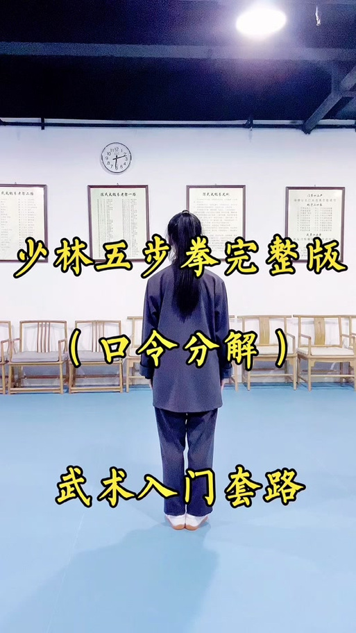 太极入门初学视频教程游戏截图