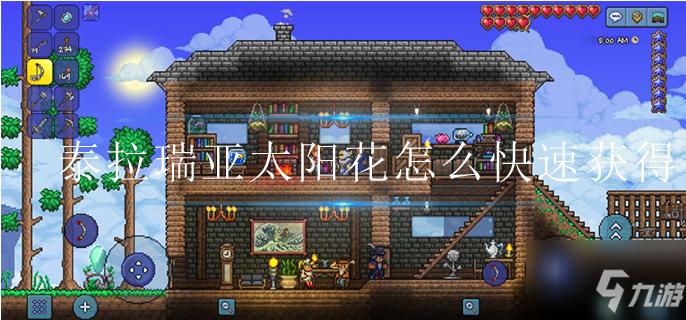 泰拉瑞亚太阳花哪里找