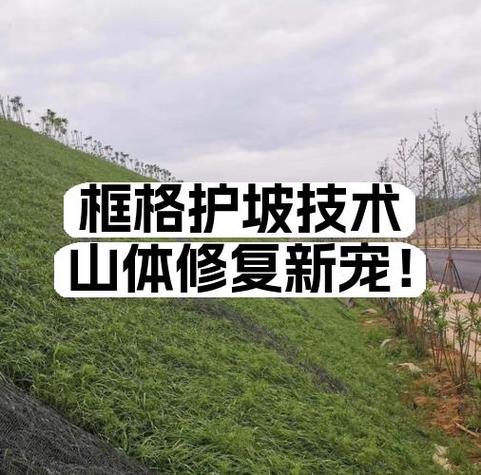 oppo手机一直有个绿色框框缩略图