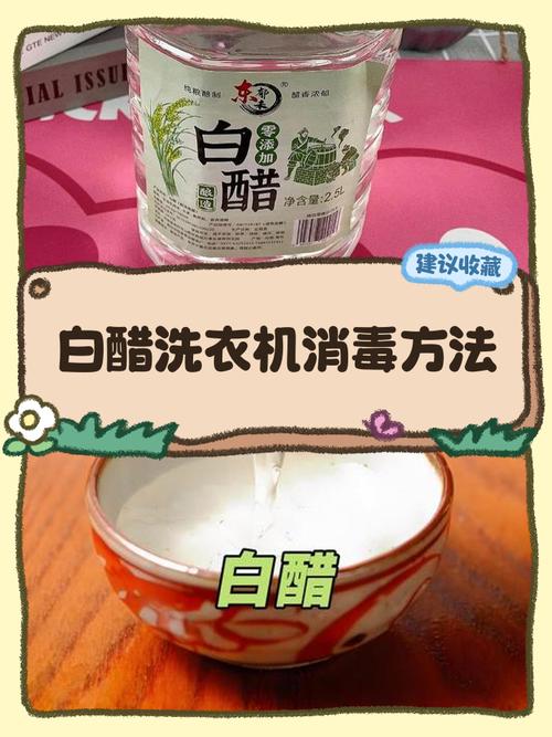 白醋洗白衣服正确方法游戏截图