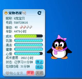 现在没有qq宠物了吗缩略图